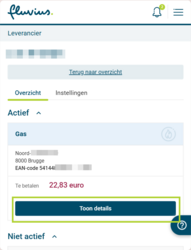 Klik bij Elektriciteit of aardgas op de blauwe knop ‘Toon details’.