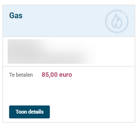 Op de startpagina zie je geen Prepaid-saldo, enkel het te betalen bedrag.